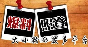 安岳新闻爆料平台有哪些,聚焦本地资讯，共筑信息桥梁